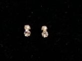 Brinco folheado a ouro 18k
